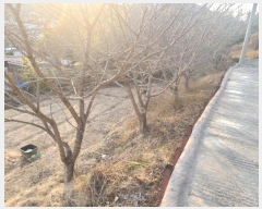  2024Ÿ��120721  ����