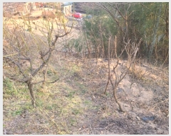  2024Ÿ��120721  ����