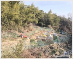  2024Ÿ��120721  ����