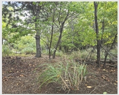  2024Ÿ7828    1       (Ӿ)