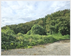  2024Ÿ7828    1       (Ӿ)