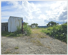  2024Ÿ7828    1       (Ӿ)