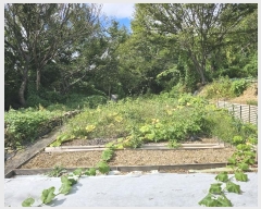  2024Ÿ7828    1       (Ӿ)