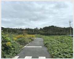  2024Ÿ��8340  ����