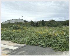  2024Ÿ��8340  ����