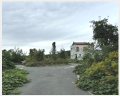  2024Ÿ��8340  ����