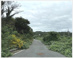  2024Ÿ��8340  ����