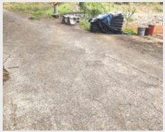  2024Ÿ8647  ֱ μ ϸ 630-9      (Ӿ)