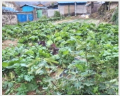  2024Ÿ��9343  ���ð��