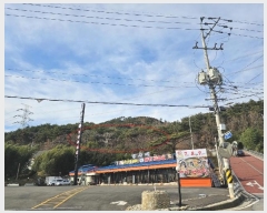  2024Ÿ��10121 �泲 ���� ��굿 ��119-5       ����(�Ӿ�)���