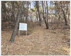  2024Ÿ��10121 �泲 ���� ��굿 ��119-5       ����(�Ӿ�)���