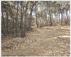  2024Ÿ��10121 �泲 ���� ��굿 ��119-5       ����(�Ӿ�)���