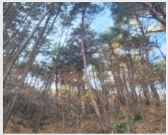  2024Ÿ��10121 �泲 ���� ��굿 ��119-5       ����(�Ӿ�)���