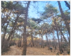  2024Ÿ��10121 �泲 ���� ��굿 ��119-5       ����(�Ӿ�)���