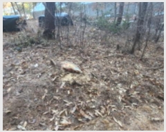  2024Ÿ��10121 �泲 ���� ��굿 ��119-5       ����(�Ӿ�)���