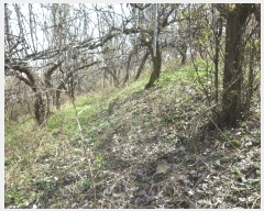  2024Ÿ��103894  �����