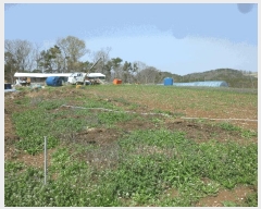  2024Ÿ��103894  �����