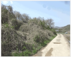  2024Ÿ��103894  �����