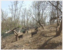  2024Ÿ��103894  �����