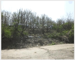  2024Ÿ��103894  �����