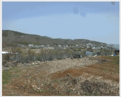  2024Ÿ��103894  �����