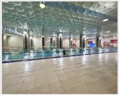  2024Ÿ109090 泲   105, 2 2ȣ (赿,)    ,繫ǰ