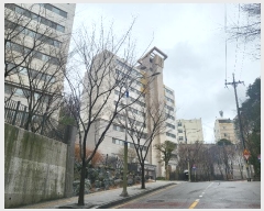  2024Ÿ868 λ   135, 102 121205ȣ (뿬,뿬Եĳ1)    Ʈ