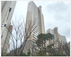  2024Ÿ868 λ   135, 102 121205ȣ (뿬,뿬Եĳ1)    Ʈ