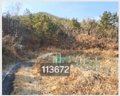  2024Ÿ��113672 �λ� ���屺 ����� ��Ҹ� ��151      ����(�Ӿ�)���