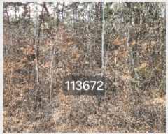  2024Ÿ��113672 �λ� ���屺 ����� ��Ҹ� ��151      ����(�Ӿ�)���