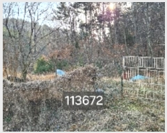  2024Ÿ��113672 �λ� ���屺 ����� ��Ҹ� ��151      ����(�Ӿ�)���