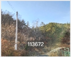  2024Ÿ��113672 �λ� ���屺 ����� ��Ҹ� ��151      ����(�Ӿ�)���