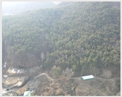  2024Ÿ��113672 �λ� ���屺 ����� ��Ҹ� ��151      ����(�Ӿ�)���