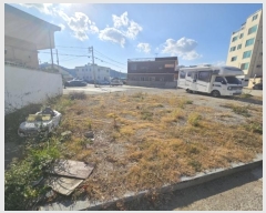  2024Ÿ6644 λ 屺 ϱ Ｚ 38-3      ()