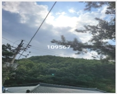  2024Ÿ109567  (Ӿ)