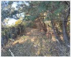  2024Ÿ6590 λ 屺 ϱ û 331-3      ()