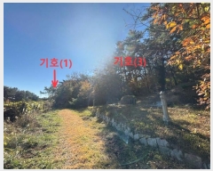  2024Ÿ6590 λ 屺 ϱ û 331-3      ()