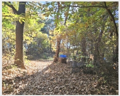  2024Ÿ6590 λ 屺 ϱ û 331-3      ()