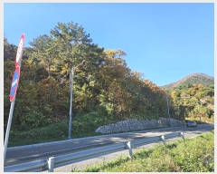  2024Ÿ6590 λ 屺 ϱ û 331-3      ()