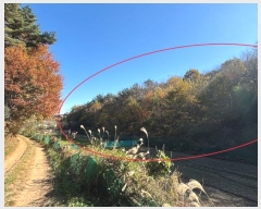  2024Ÿ6590 λ 屺 ϱ û 331-3      ()