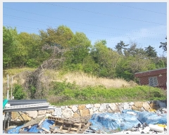  2024Ÿ��103828 �λ� ���屺 ����� ��õ�� 31-15      ����(�Ӿ�)���