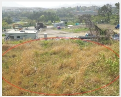  2024Ÿ��103828 �λ� ���屺 ����� ��õ�� 31-18      ����(�Ӿ�)���