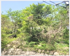  2024Ÿ��103828 �λ� ���屺 ����� ��õ�� 31-18      ����(�Ӿ�)���