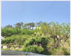  2024Ÿ��103828 �λ� ���屺 ����� ��õ�� 31-18      ����(�Ӿ�)���