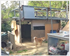  2024Ÿ��103828 �λ� ���屺 ����� ��õ�� 31-18      ����(�Ӿ�)���