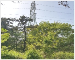  2024Ÿ��103828 �λ� ���屺 ����� ��õ�� 31-18      ����(�Ӿ�)���