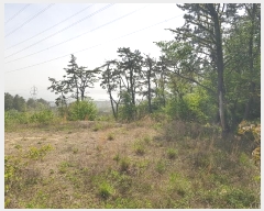  2024Ÿ��103828 �λ� ���屺 ����� ��õ�� 31-18      ����(�Ӿ�)���