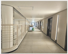  2024Ÿ109499 λ ؿ뱸 ؿغ298 25, 202002ȣ (ߵ,Ķȣ)     ܵ(ȣ)