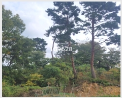 2024Ÿ109628 λ 屺 ϱ  4-6      (Ӿ)