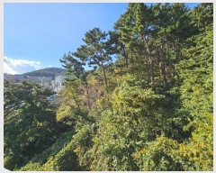  2024Ÿ111867 λ  ȣ 296-22       (Ӿ)